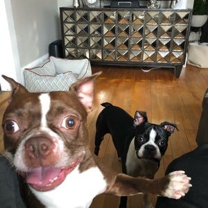 Meet your Posher, Darian